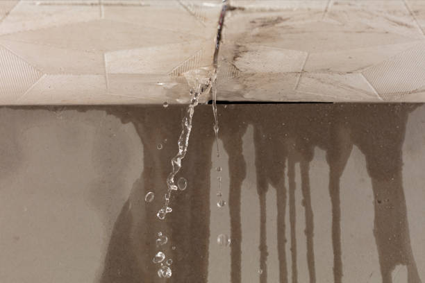 Professional Water Damage Repair technician working in Amanda Park, WA